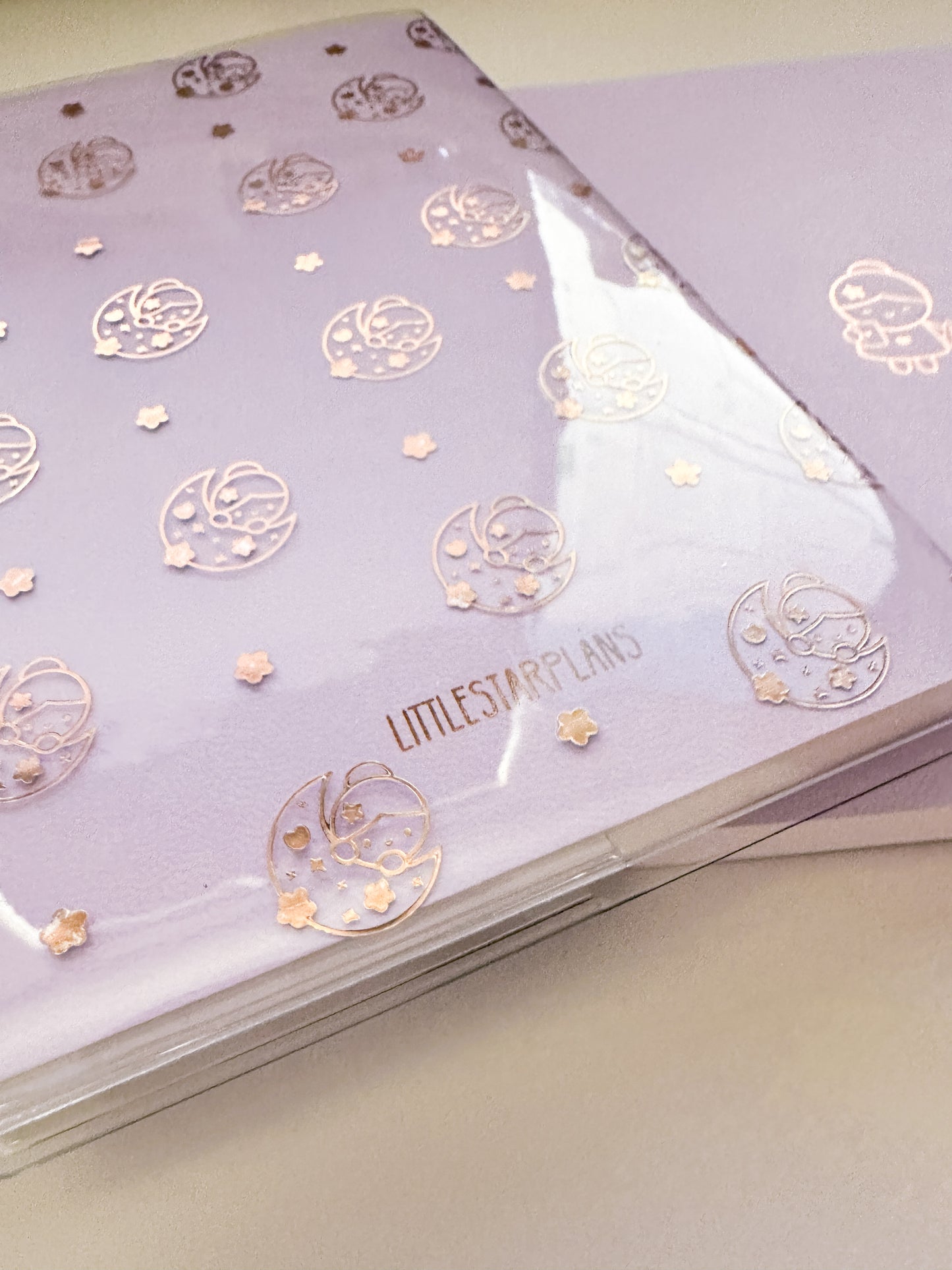 Mimi Notebook Bundle: 2 Notebooks & 2 Foiled Clear Cover