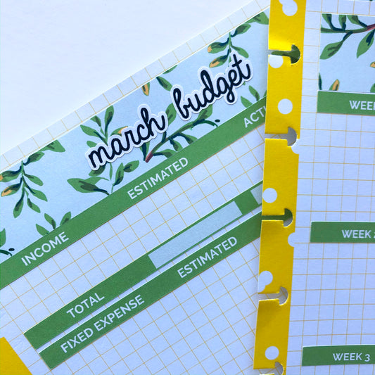 March Monthly Budget Planner Sticker Kit fit in Happy Planner Notes